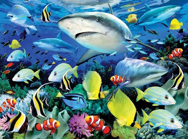 Royal & Langnickel 37370 Reef Sharks Paint by Number Age 8+ (11.25"x15.375")