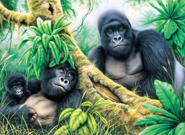 Royal & Langnickel 37374 Mountain Gorillas Paint by Number Age 8+ (11.25"x15.375")