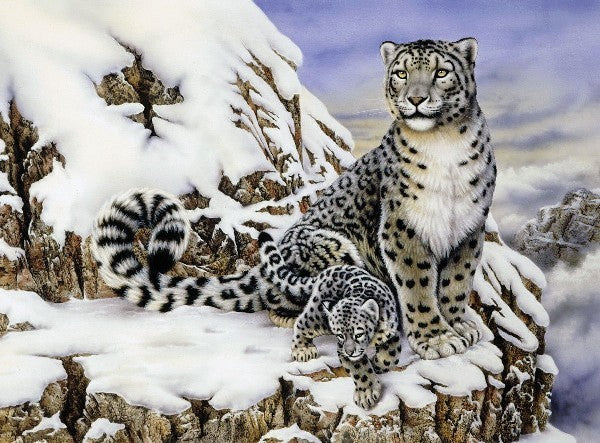 Royal & Langnickel 37375 Alpine Royalty (Snow Leopards) Paint by Number Age 8+ (11.25"x15.375")