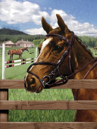 Royal & Langnickel 37394 Equine Paddock (Horses) Paint by Number Age 8+ (8.75"x11.75")
