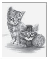 Royal & Langnickel 38673 Kittens w/Ball of Yarn Sketching Made Easy Age 8+ (11.25"x8.5")