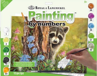 Royal & Langnickel 38798 Secret Admirer (Raccoon/Tree/Flowers) Paint by Number Age 8+ (11.25"x15.375")