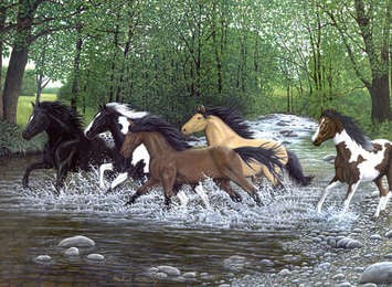 Royal & Langnickel 5668 Free Spirits (Galloping Horses/Stream) Paint by Number Age 8+ (11.25"x15.375")