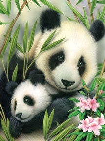 Royal & Langnickel 5682 Panda & Baby Paint by Number Age 8+ (8.75"x11.75")
