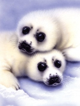 Royal & Langnickel 5683 Seal & Pups Paint by Number Age 8+ (8.75"x11.75")