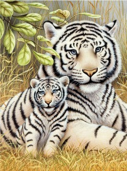Royal & Langnickel 7723 White Tiger Pair Paint by Number Age 8+ (8.75"x11.75")