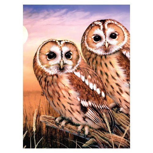 Royal & Langnickel 94339 Tawny Owls Paint by Number Age 8+ (8.75"x11.75")