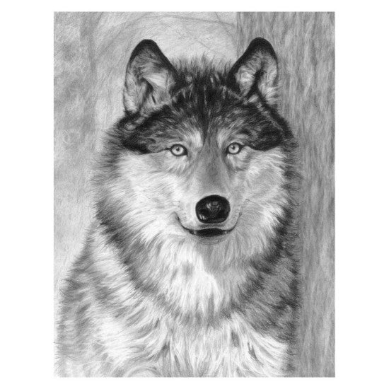 Royal & Langnickel 94426 Alpha (Wolf Face) Sketching Made Easy Age 8+ (11.25"x15.375")