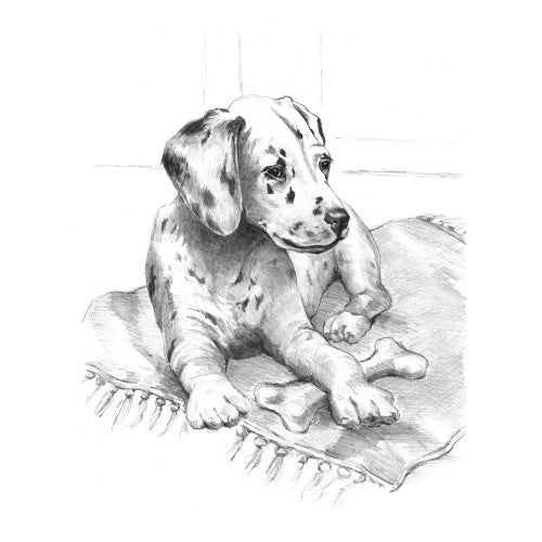 Royal & Langnickel 94429 Dalmatian Pup Sketching Made Easy Age 8+ (11.25"x15.375")