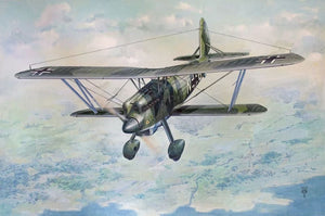 Roden 454 1/48 Arado Ar68F1 BiPlane Fighter