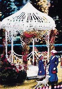 Scenic Express 501 All Scale Scenery Detail - Flowering Vine Kit -- Includes: Climbing Vine Foliage, 5 Colors of Assorted Flowers & Adhesive