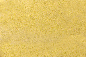 Scenic Express 6314 All Scale SuperLeaf Flowering Blossom 1-gal SuperPak -- Maize Yellow