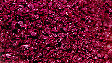 Scenic Express 6362 All Scale SuperLeaf Scale Model Leaf Flake 16oz Shaker -- Purple Plum