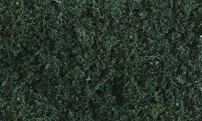 Scenic Express 863B All Scale Flock & Turf Ground Covers, Dark Forest Grass Green Super Turf -- Dark Forest Grass Green, 32oz