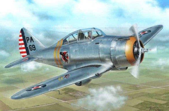 Special Hobby 72260 1/72 P35 Silver Wings Aircraft