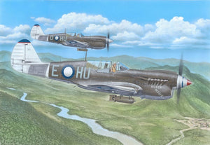 Special Hobby 72484 1/72 P40 Kittyhawk Mk IV over the Mediterranean & Pacific Fighter