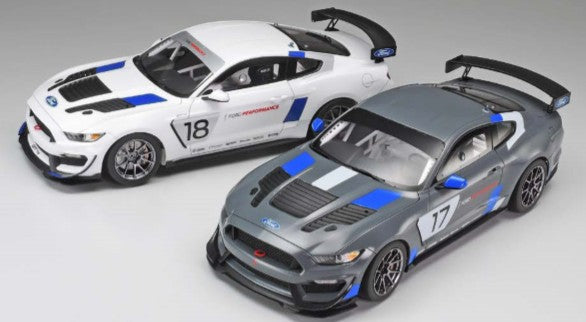 Tamiya 24354 1/24 Ford Mustang GT4 Race Car