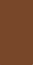 Tamiya MXF79 Linoleum Deck Brown Mini Acrylic Matte Finish (6/Bx)