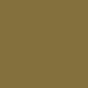 Tru-Color Paint 1014 All Scale Military Acrylic Color 1oz 29.6ml -- Polished Bronze