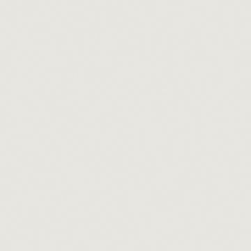 Tru-Color Paint 1204 All Scale Military Acrylic Color - 1oz 29.6ml -- FS-36440: Light Gull Gray