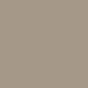 Tru-Color Paint 121 All Scale Railroad Color Acrylic Paints - 1oz 29.6mL -- Missouri Pacific Eagle Gray