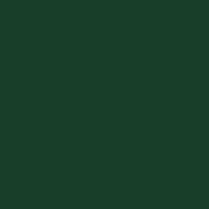 Tru-Color Paint 128 All Scale Railroad Color Acrylic Paints - 1oz 29.6mL -- Southern Railway Green