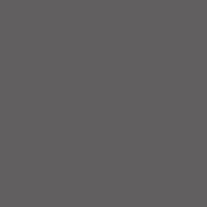 Tru-Color Paint 129 All Scale Railroad Color Acrylic Paints - 1oz 29.6mL -- New York Central Light Gray