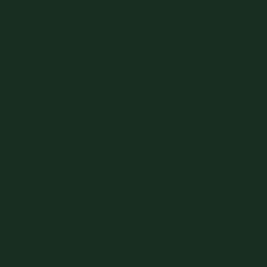 Tru-Color Paint 133 All Scale Railroad Color Acrylic Paints - 1oz 29.6mL -- Reading Green