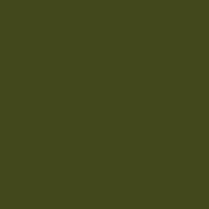 Tru-Color Paint 1407 All Scale Military Acrylic Colors - 1oz 29.6mL -- (FS 34012) Mobility Equipment Research & Design Command MERDC Dark Green