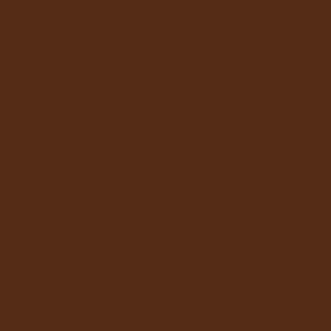 Tru-Color Paint 163 All Scale Railroad Color Acrylic Paints - 1oz 29.6mL -- Southern Pacific Depot Trim Brown