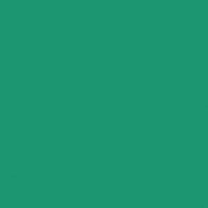 Tru-Color Paint 2043 All Scale Railroad Color Acrylic Paints - 2oz 59.1mL -- New York Central Jade Green