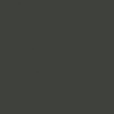 Tru-Color Paint 2065 All Scale Railroad Color Acrylic Paints - 2oz 59.1mL -- Southern Pacific Lark Dark Gray