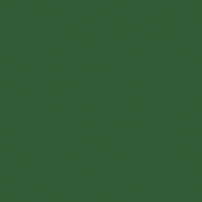 Tru-Color Paint 2067 All Scale Railroad Color Acrylic Paints - 2oz 59.1mL -- Burlington Northern Cascade Green