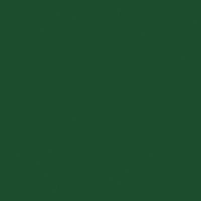 Tru-Color Paint 2078 All Scale Railroad Color Acrylic Paints - 2oz 59.1mL -- Railway Express Agency Green