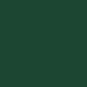 Tru-Color Paint 2128 All Scale Railroad Color Acrylic Paints - 2oz 59.1mL -- Southern Railway Green