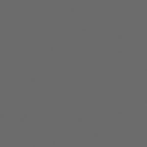 Tru-Color Paint 2134 All Scale Railroad Color Acrylic Paints - 2oz 59.1mL -- Southern Pacific Light Gray