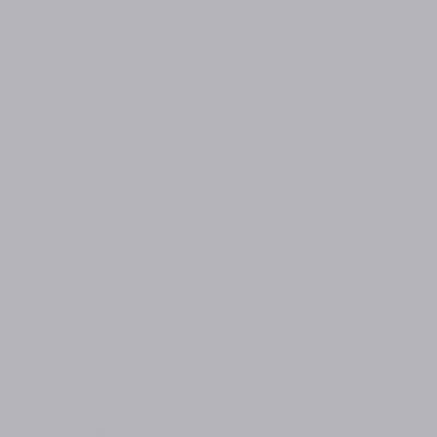Tru-Color Paint 2257 All Scale Railroad Color Acrylic Paints - 2oz 59.1mL -- Platinum Mist (Flat)