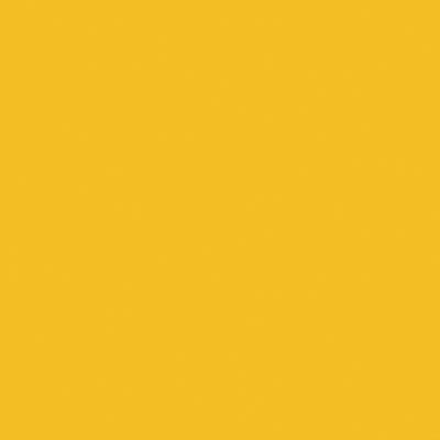 Tru-Color Paint 2305 All Scale Railroad Color Acrylic Paints - 2oz 59.1mL -- Chessie System Yellow