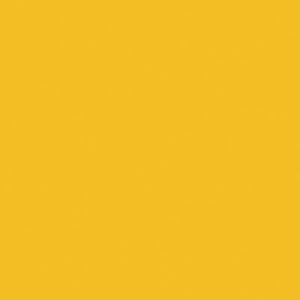 Tru-Color Paint 2305 All Scale Railroad Color Acrylic Paints - 2oz 59.1mL -- Chessie System Yellow