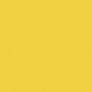Tru-Color Paint 2321 All Scale Railroad Color Acrylic Paints - 2oz 59.1mL -- Florida East Coast Modern Yellow