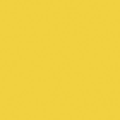 Tru-Color Paint 2321 All Scale Railroad Color Acrylic Paints - 2oz 59.1mL -- Florida East Coast Modern Yellow