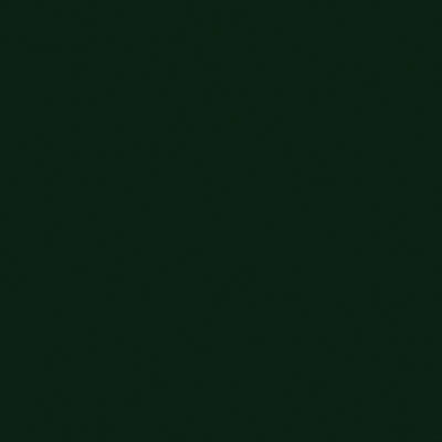 Tru-Color Paint 2322 All Scale Railroad Color Acrylic Paints - 2oz 59.1mL -- Chicago, North Shore & Milwaukee Green