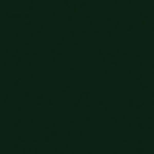 Tru-Color Paint 2322 All Scale Railroad Color Acrylic Paints - 2oz 59.1mL -- Chicago, North Shore & Milwaukee Green