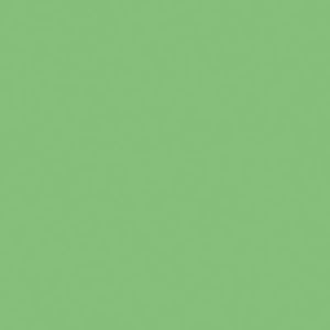 Tru-Color Paint 2337 All Scale Railroad Color Acrylic Paints - 2oz 59.1mL -- Seaboard Air Line Mint Green