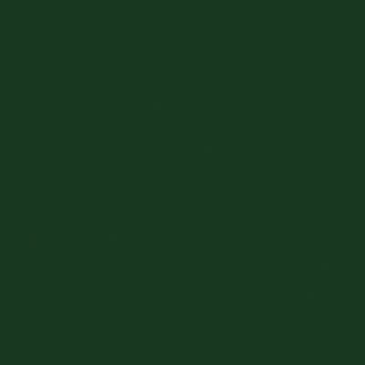 Tru-Color Paint 2338 All Scale Railroad Color Acrylic Paints - 2oz 59.1mL -- Seaboard Air Line Dark Green