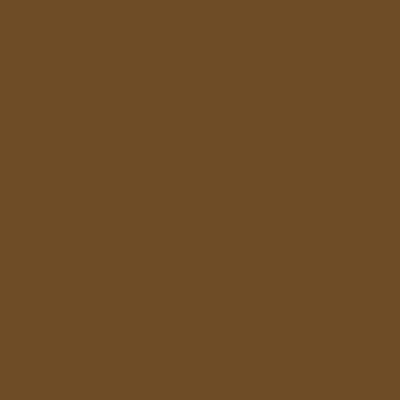Tru-Color Paint 2349 All Scale Railroad Color Acrylic Paints - 2oz 59.1mL -- Seasoned Brown Wood