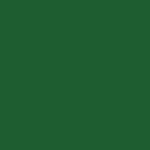 Tru-Color Paint 318 All Scale Railroad Color Acrylic Paints - 1oz 29.6mL -- Missouri-Kansas-Texas Green