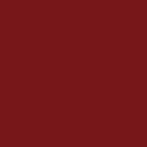 Tru-Color Paint 427 All Scale Sprayable Matte Paints - 1oz 29.6mL -- Brownish-Red Brick