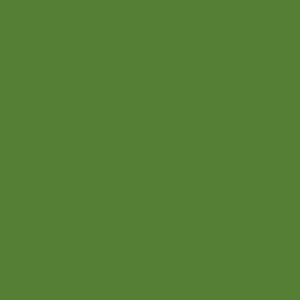 Tru-Color Paint 519 All Scale Automotive Color High-Gloss Acrylic Paints - 1oz 29.6mL -- Sassy Grass Green
