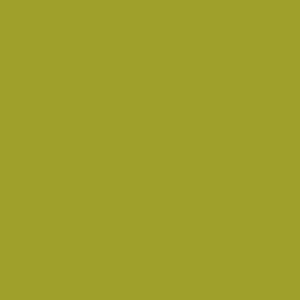 Tru-Color Paint 554 All Scale Automotive Color High-Gloss Acrylic Paints - 1oz 29.6mL -- Kandy Lime Green
